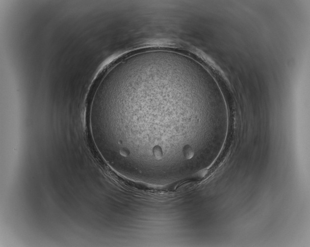 X0000116301222200912071242