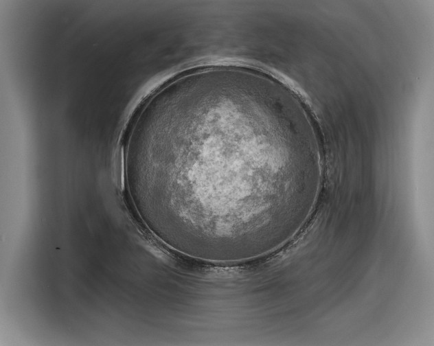 X0000116301223200912071242