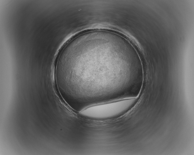 X0000116301224200912071242