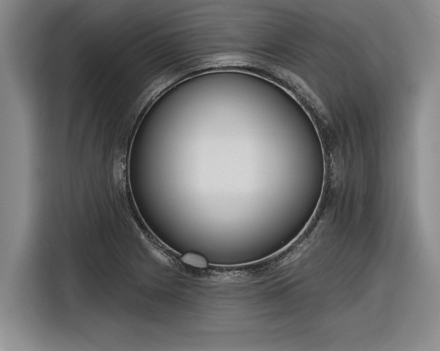 X0000116301225200912071242