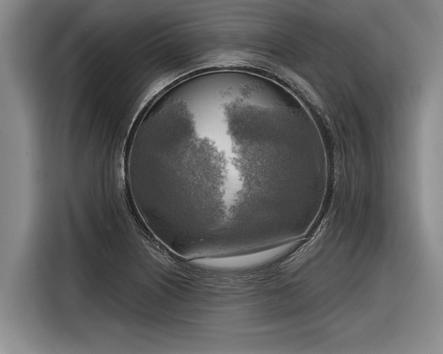 X0000116301226200912071242