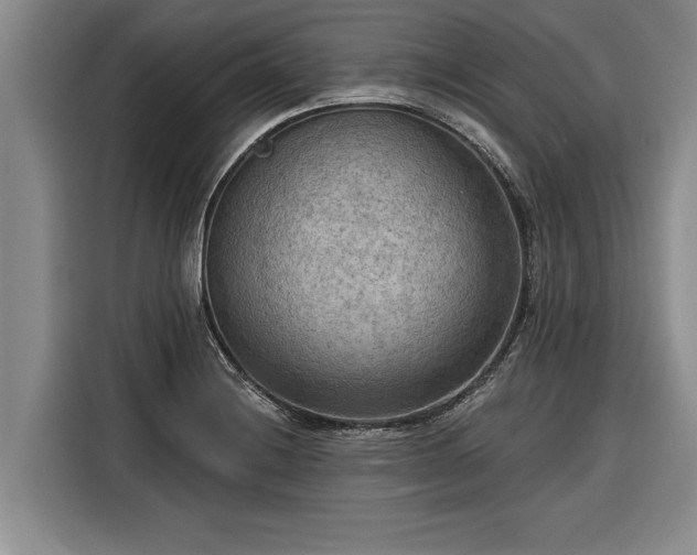 X0000116301228200912071242