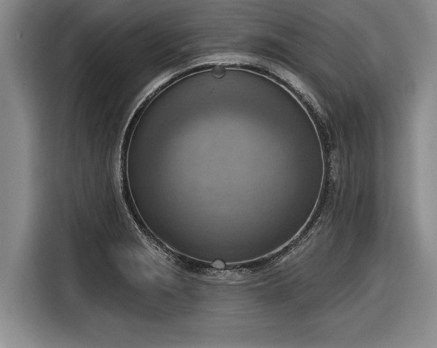 X0000116301229200912071242