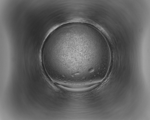 X0000116301230200912071242