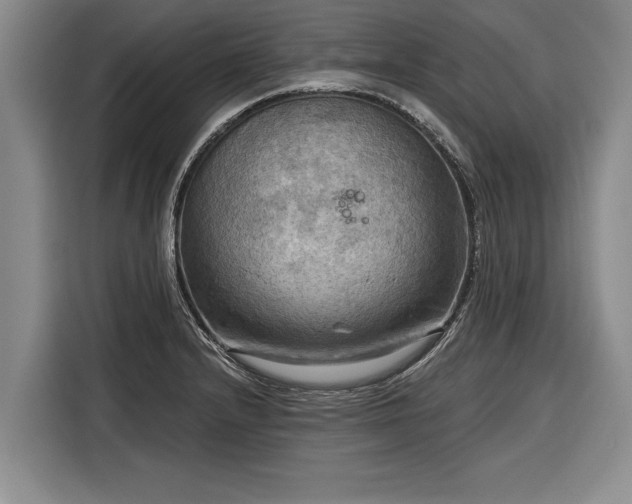 X0000116301232200912071242