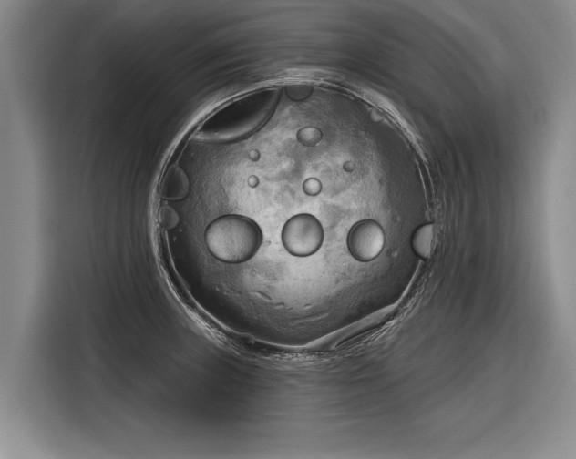 X0000116301235200912071242