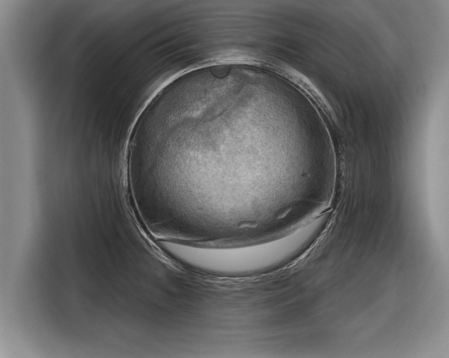 X0000116301236200912071242