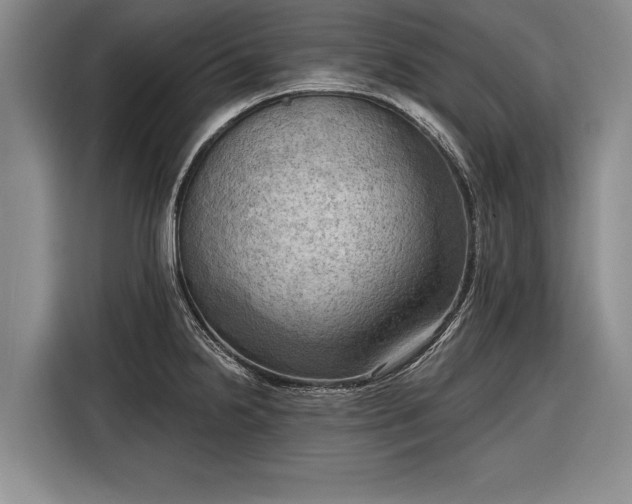 X0000116301238200912071242