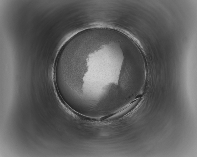 X0000116301239200912071242