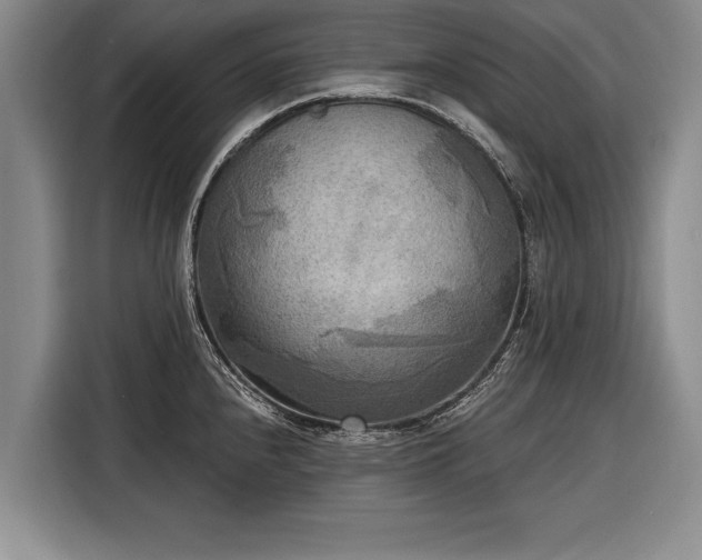 X0000116301240200912071242