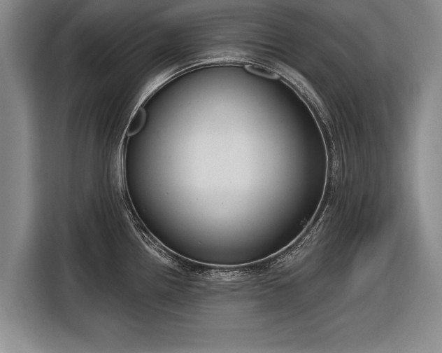 X0000116301242200912071242