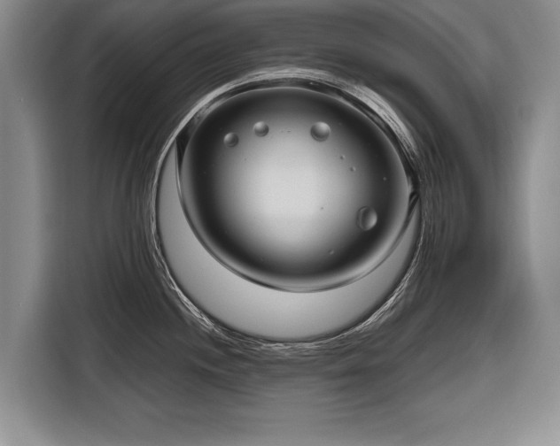 X0000116301244200912071242