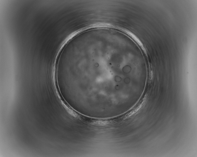 X0000116301245200912071242