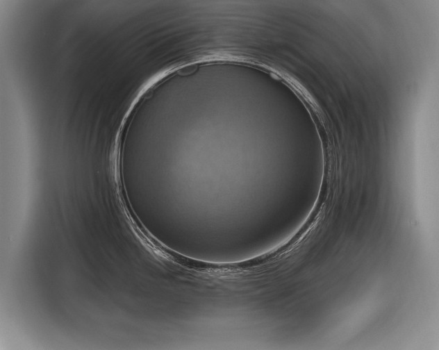 X0000116301246200912071242