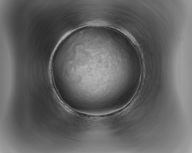 X0000116301248200912071242