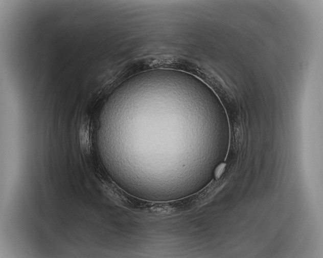 X0000116301250200912071241