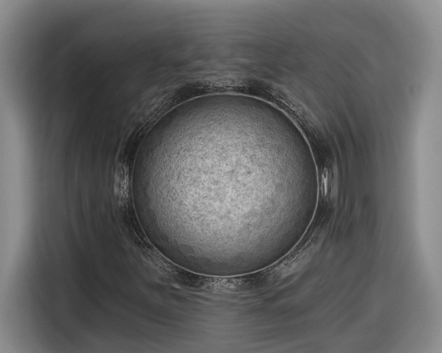 X0000116301251200912071241