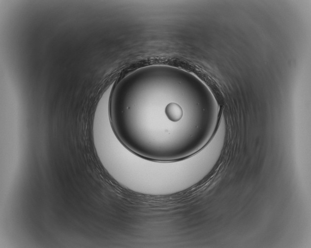 X0000116301252200912071241