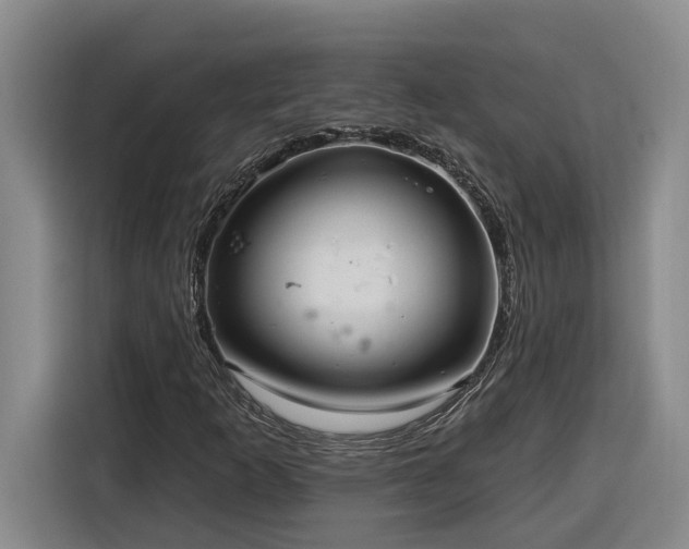 X0000116301253200912071241