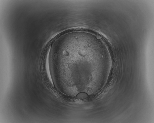 X0000116301255200912071241