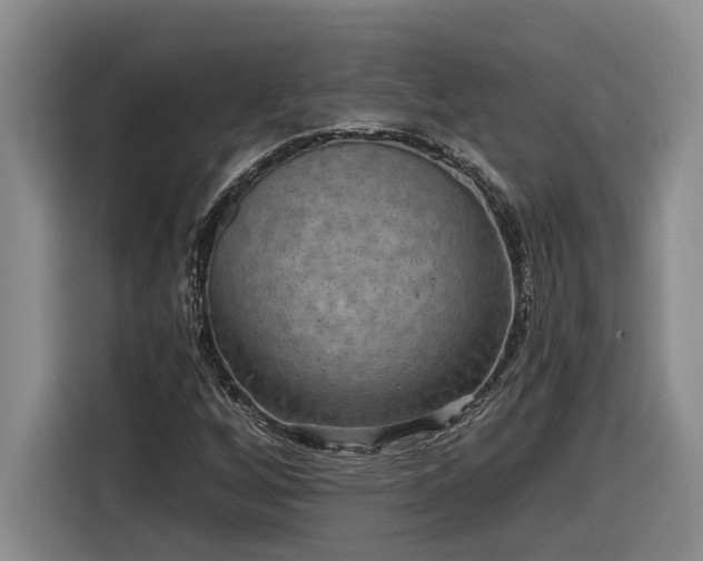 X0000116301256200912071241