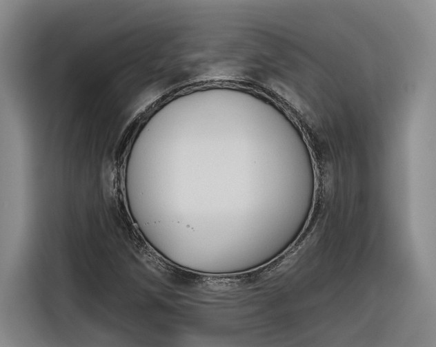 X0000116301258200912071241