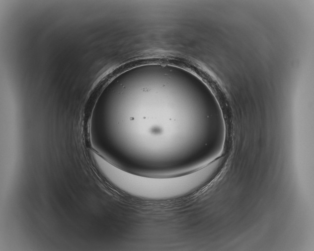 X0000116301259200912071241