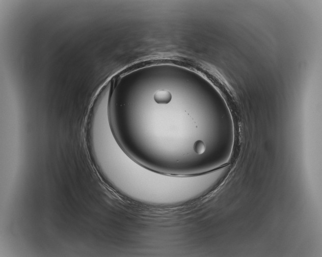 X0000116301260200912071241