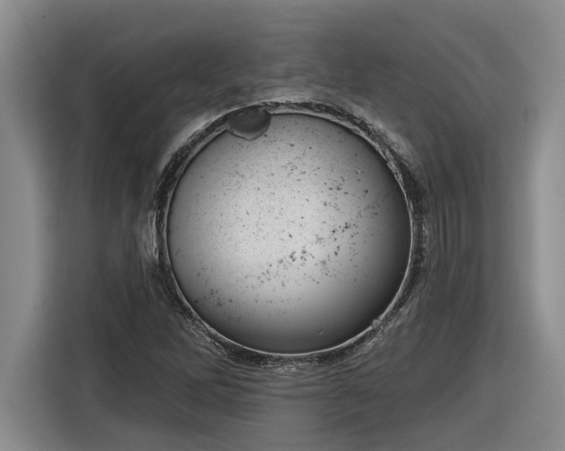 X0000116301262200912071241