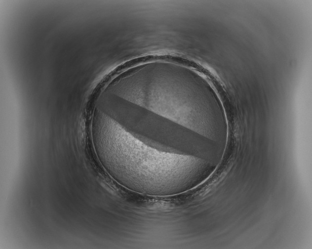 X0000116301263200912071241