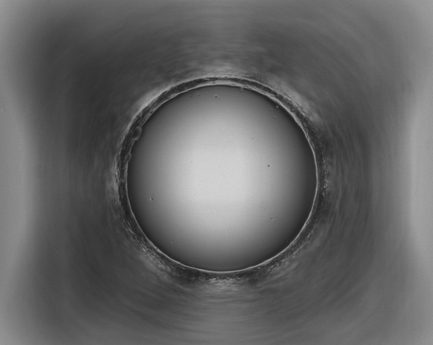 X0000116301264200912071241