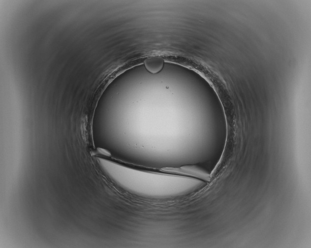 X0000116301265200912071241