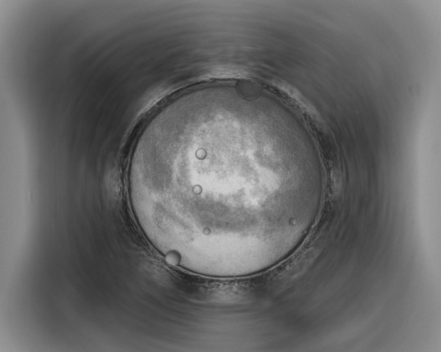 X0000116301266200912071241