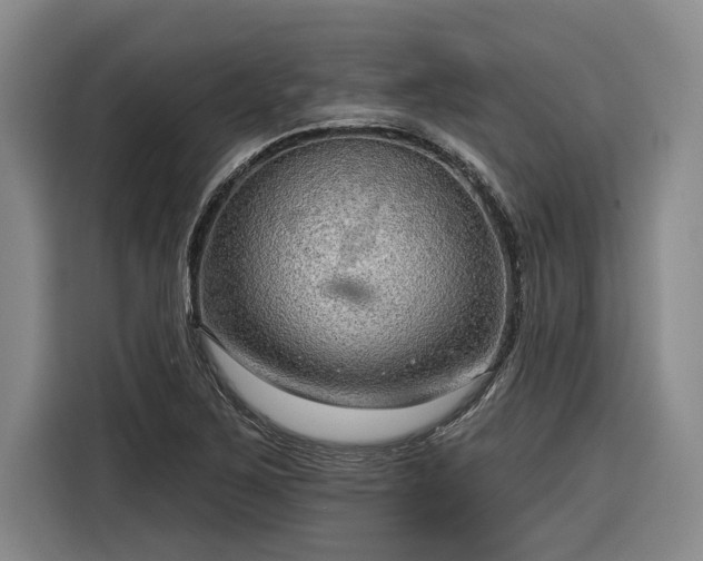 X0000116301267200912071241