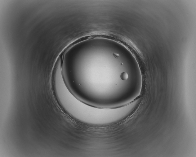 X0000116301268200912071241