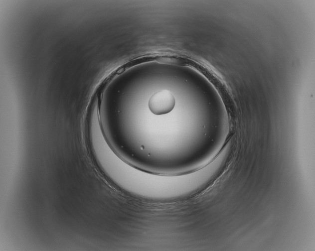 X0000116301269200912071241