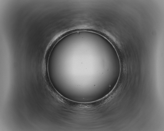 X0000116301270200912071241