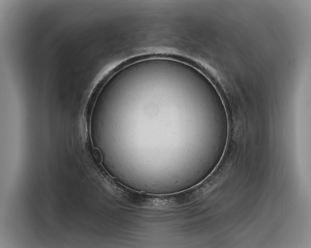 X0000116301271200912071241