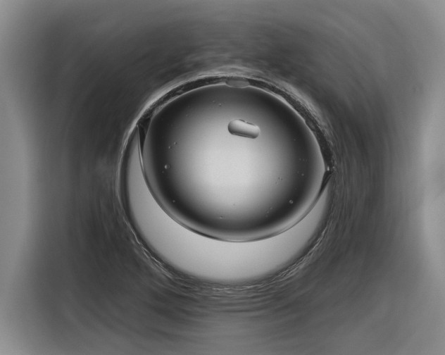 X0000116301272200912071241