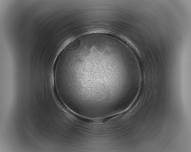 X0000116301274200912071241