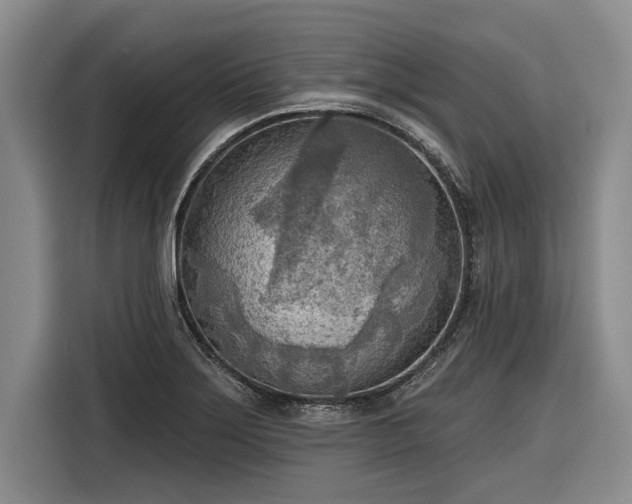 X0000116301275200912071241