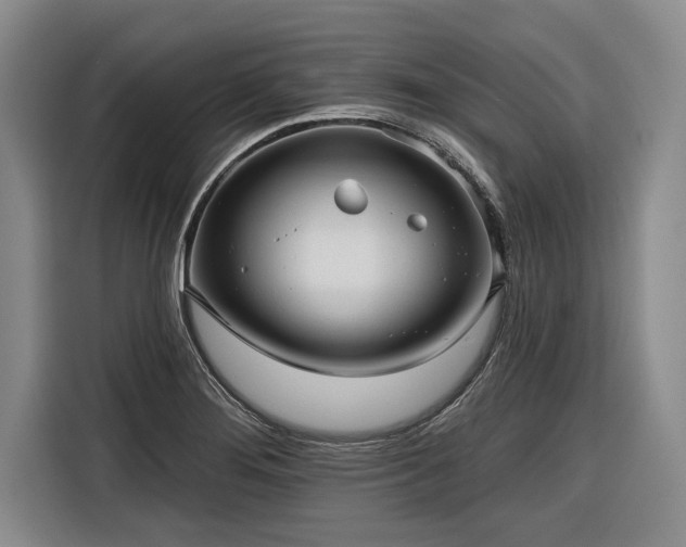 X0000116301276200912071241