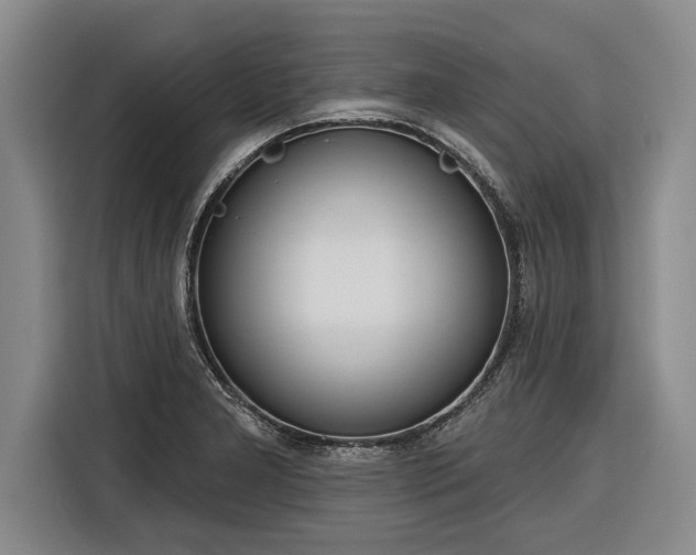 X0000116301277200912071241