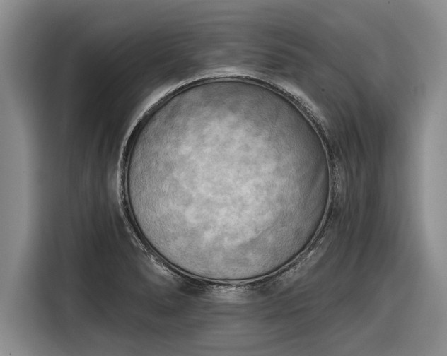 X0000116301278200912071241