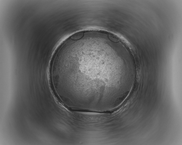 X0000116301279200912071241