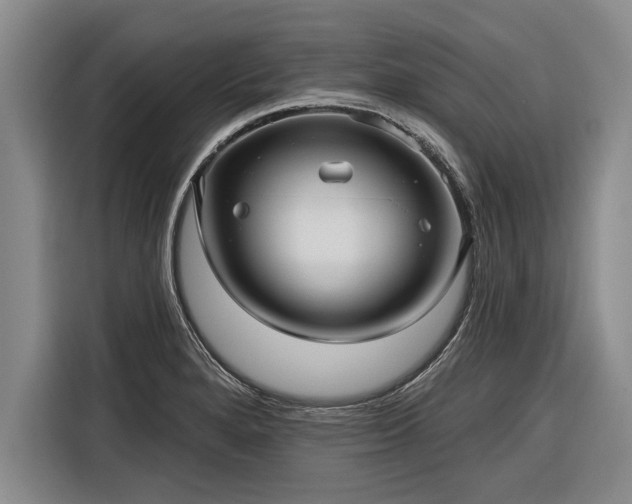 X0000116301280200912071241