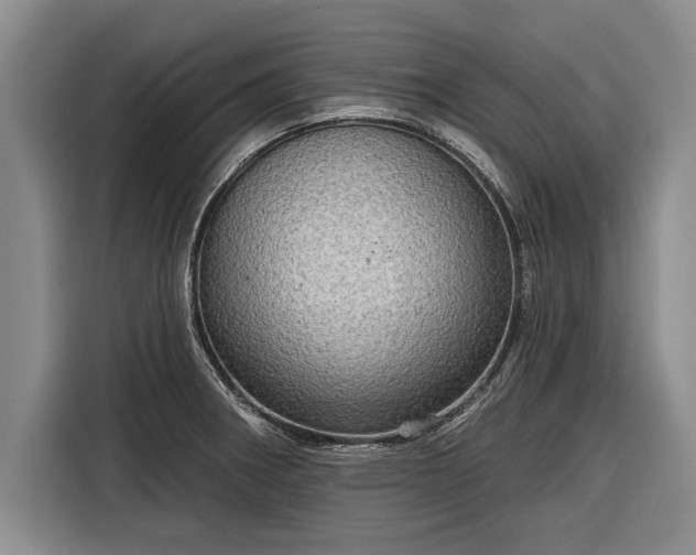 X0000116301282200912071241