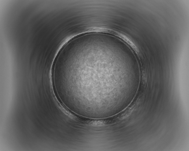 X0000116301283200912071241