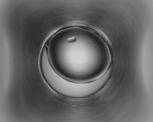 X0000116301285200912071241