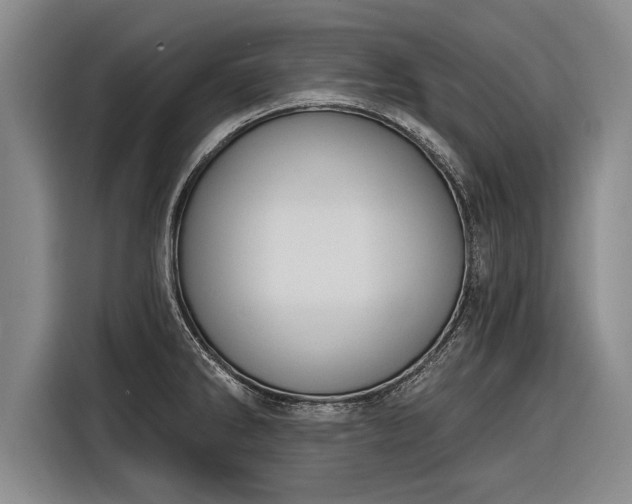 X0000116301286200912071241